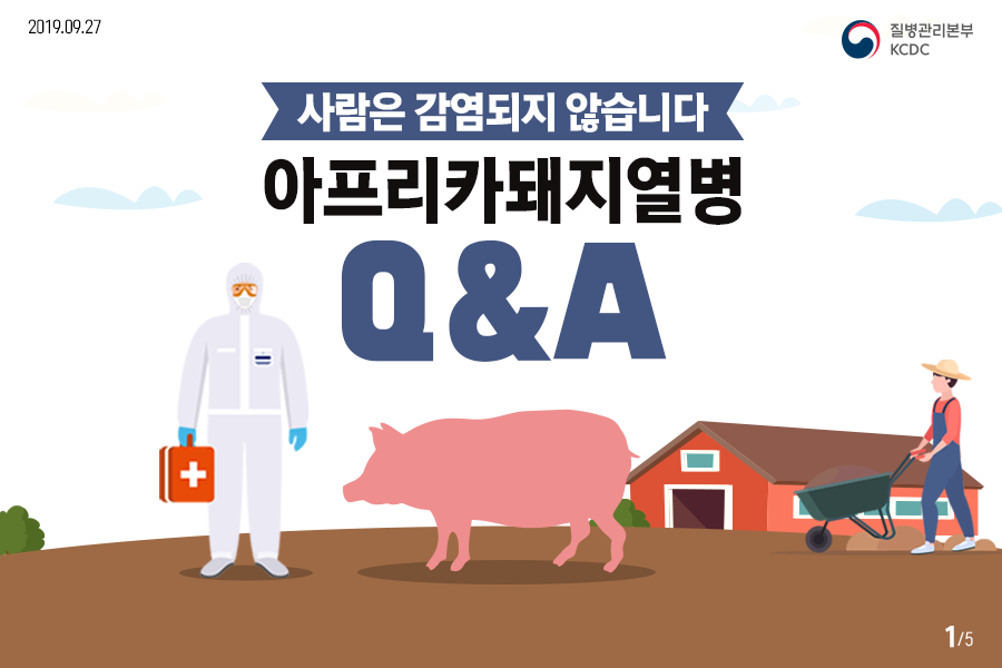 돼지고기 드시기 걱정되시죠? 아프리카돼지열병은 사람에게 감염되지 않는답니다~ 첨부 이미지