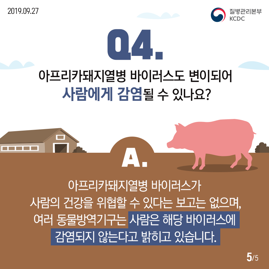 돼지고기 드시기 걱정되시죠? 아프리카돼지열병은 사람에게 감염되지 않는답니다~ 첨부 이미지
