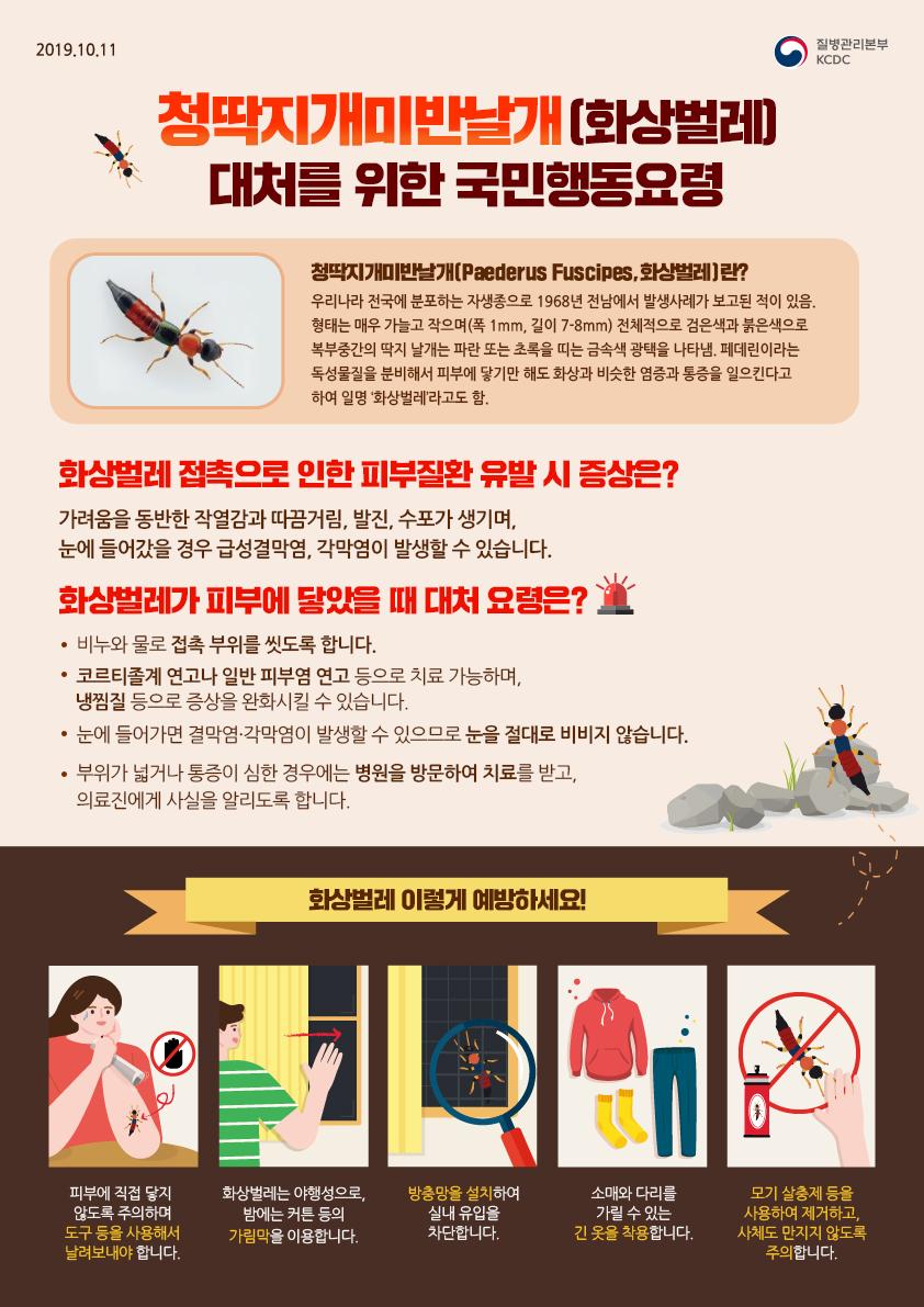 청딱지개미반날개(화상벌레) 대처를 위한 행동요령 첨부 이미지
