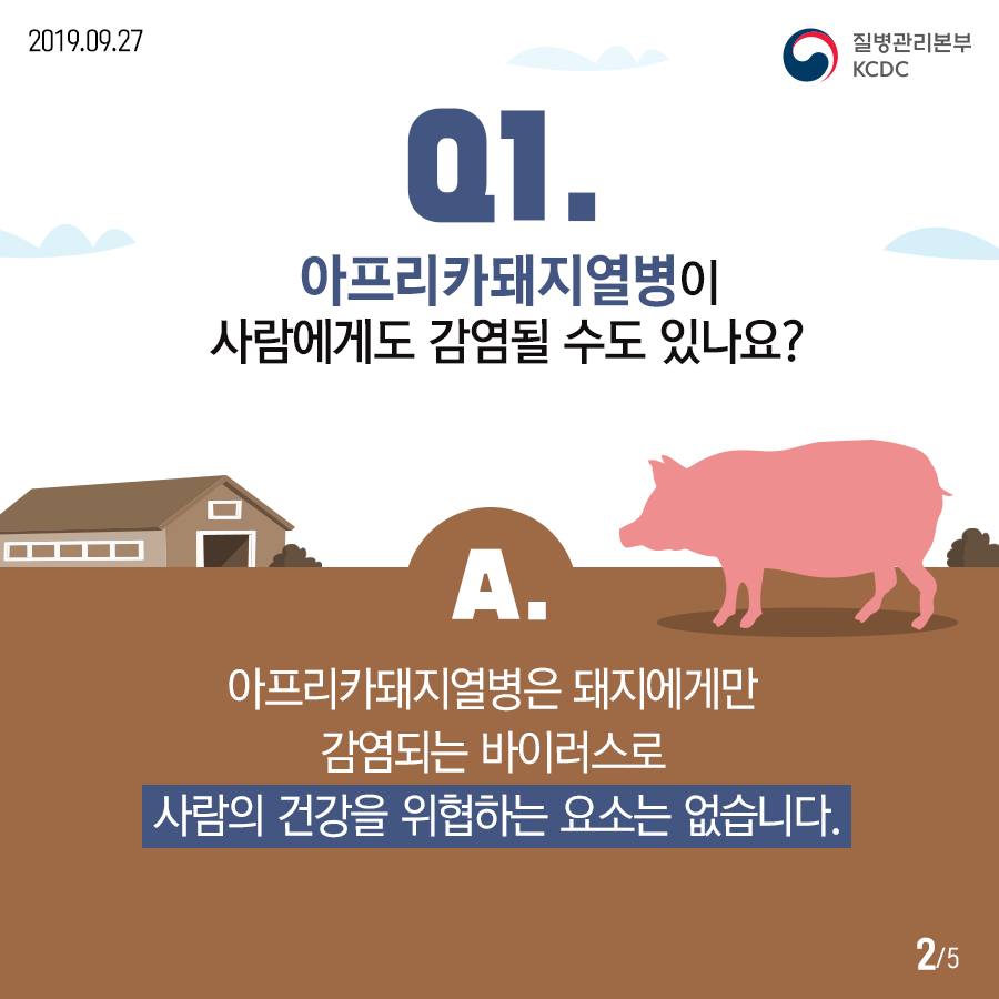 돼지고기 드시기 걱정되시죠? 아프리카돼지열병은 사람에게 감염되지 않는답니다~ 첨부 이미지
