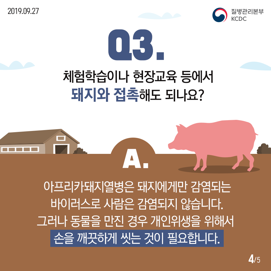 돼지고기 드시기 걱정되시죠? 아프리카돼지열병은 사람에게 감염되지 않는답니다~ 첨부 이미지