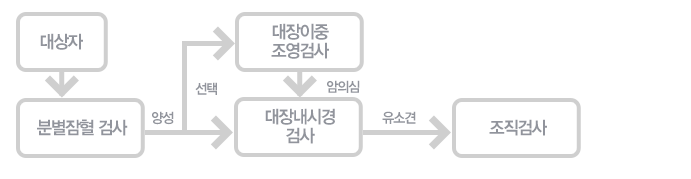 대장암검진 절차